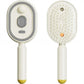 Electric Spray Air Cushions Massage Comb 3 in 1 Self Cleaning Steam Essential Oil Brush Rechargeable Spray Scalp Massager Combs