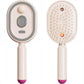 Electric Spray Air Cushions Massage Comb 3 in 1 Self Cleaning Steam Essential Oil Brush Rechargeable Spray Scalp Massager Combs